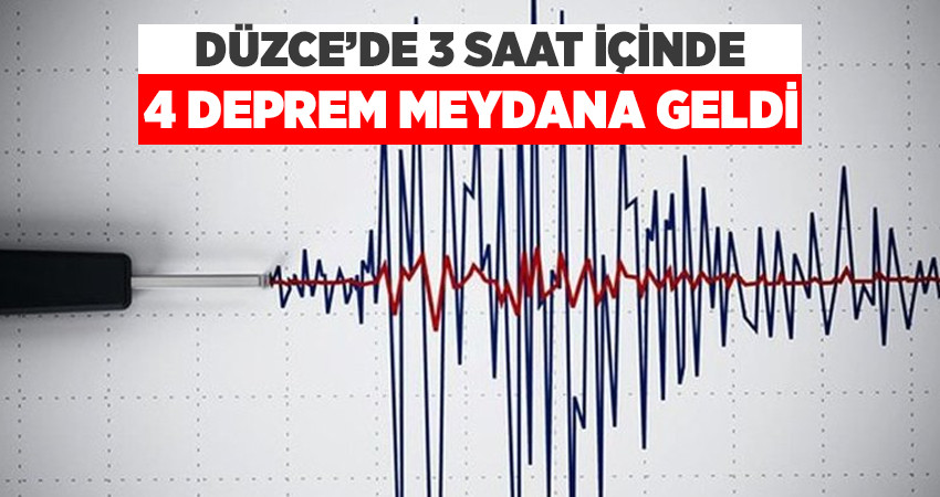 Düzce Bu Sabah 4 Kez Sallandı