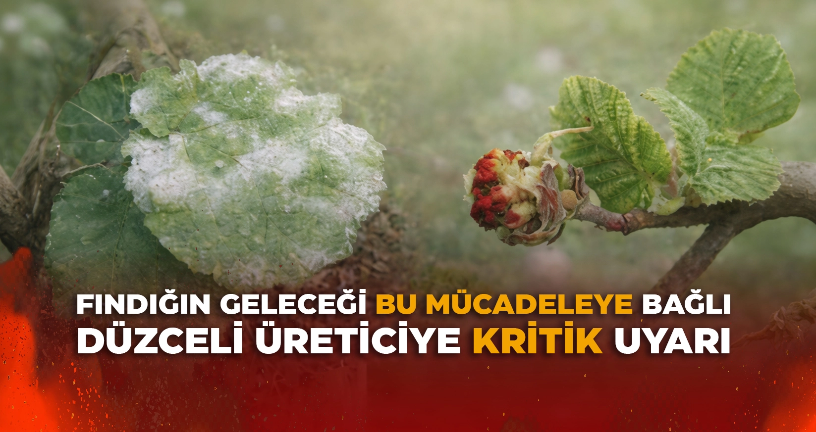 D&Uuml;ZCELİ &Uuml;RETİCİYE KRİTİK UYARI