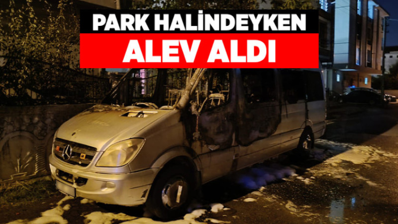 Park Halindeyken Alev Aldı