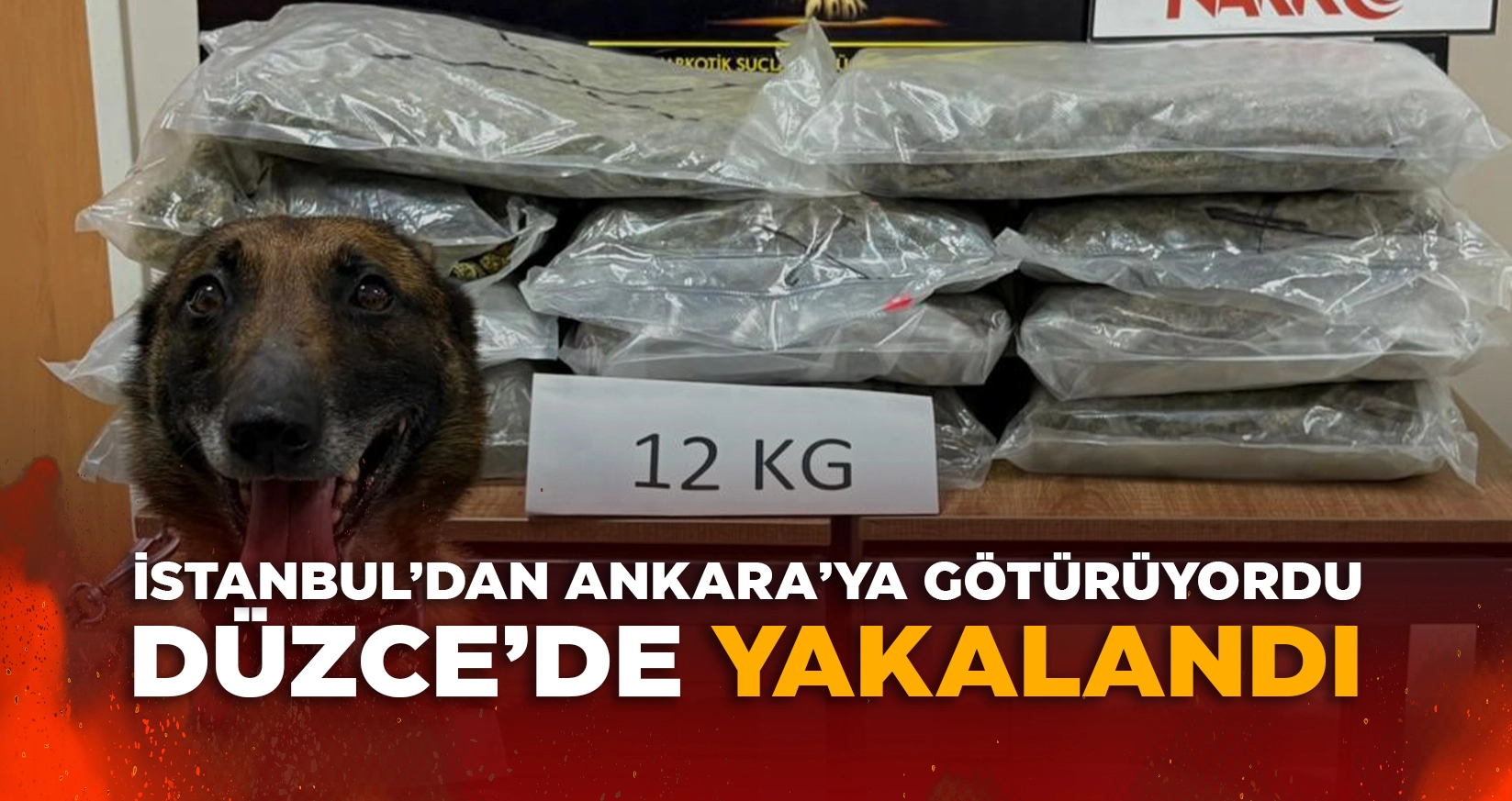 İSTANBUL'DAN ANKARA'YA GÖTÜRÜYORDU DÜZCE'DE YAKALANDI
