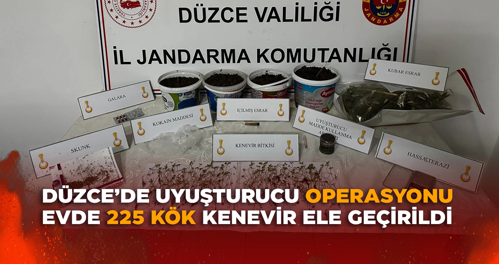 DÜZCE'DE UYUŞTURUCU BASKINI: EVDE 225 KÖK KENEVİR ELE GEÇİRİLDİ