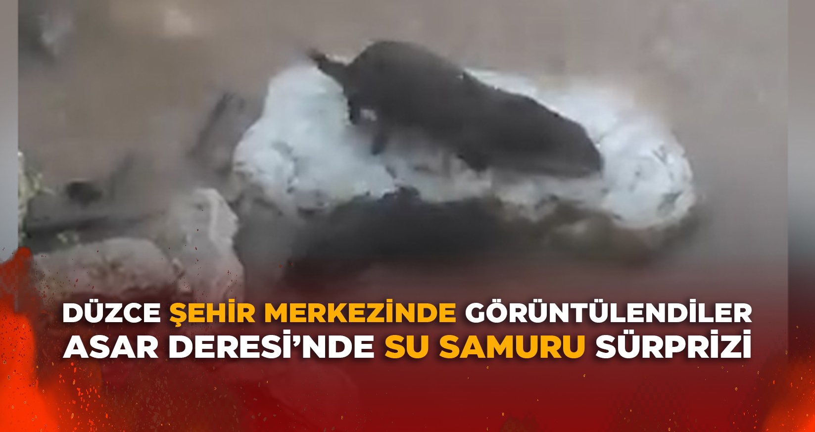 DÜZCE ŞEHİR MERKEZİNDE GÖRÜNTÜLENDİLER
