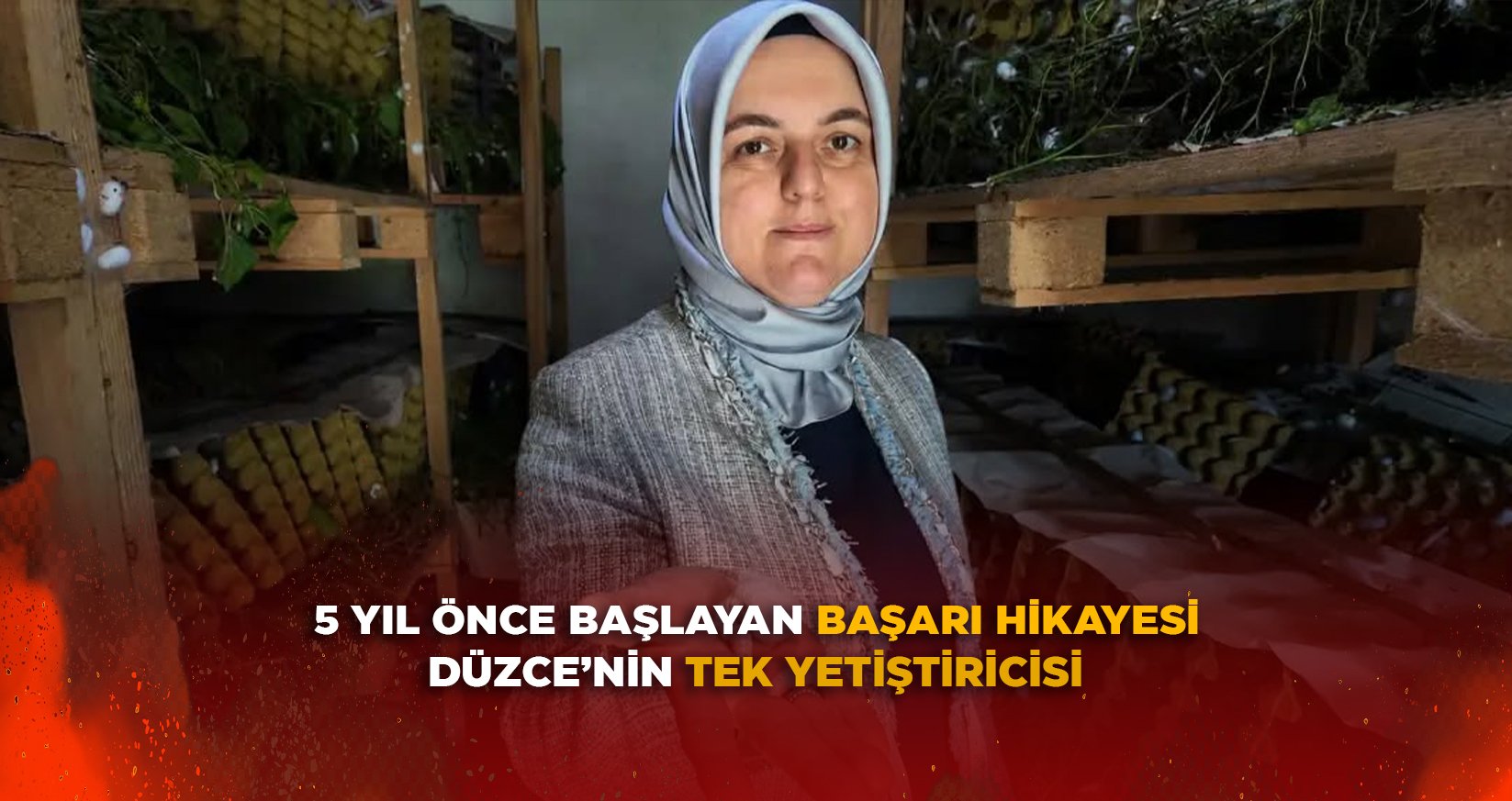 5 YIL ÖNCE BAŞLAYAN BAŞARI HİKAYESİ