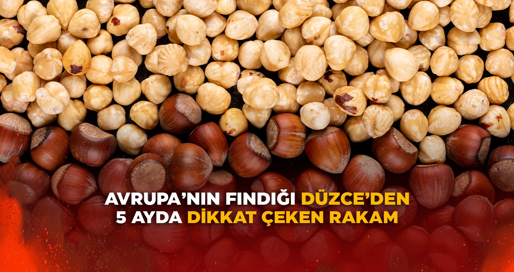 AVRUPA’NIN FINDIĞI DÜZCE’DEN