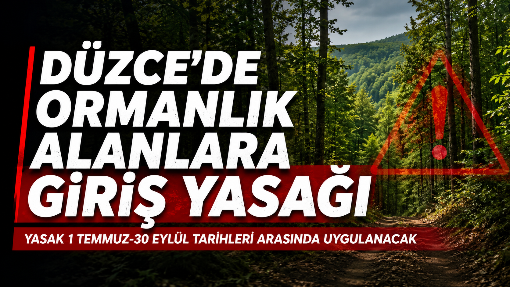 DÜZCE’DE ORMANLIK ALANLARA GİRİŞ YASAĞI