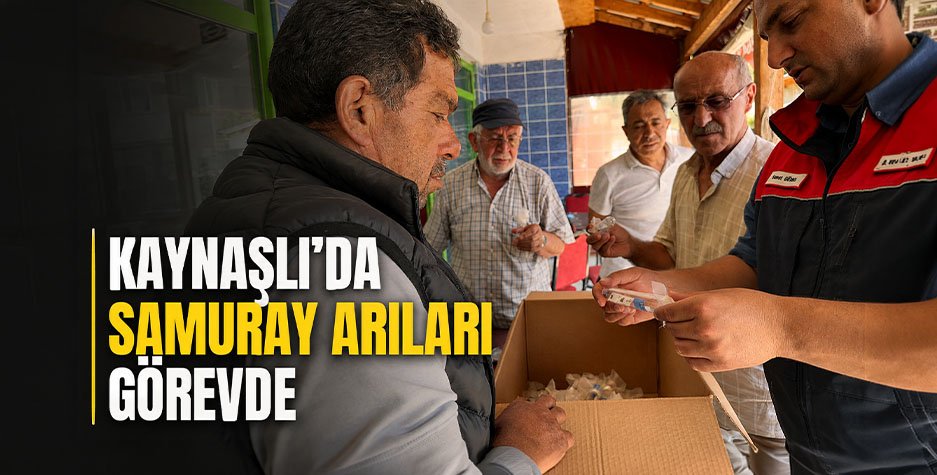 Kaynaşlı'da Samuray Arıları Görevde