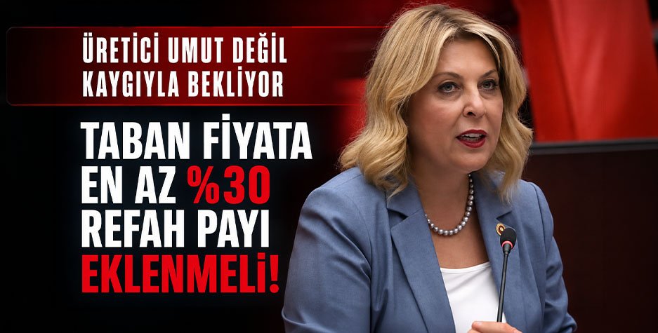 Eylül'de 350 TL'yi Görmüştü, Bugün Neden 160 TL’ye Düştü?