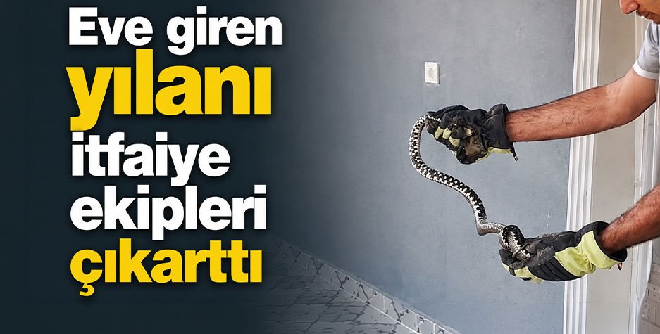 Düzce’de eve giren yılanı itfaiye ekipleri çıkarttı
