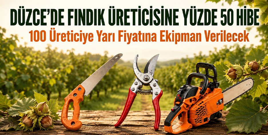 Düzce'de Fındık Üreticisine Yüzde 50 Hibe