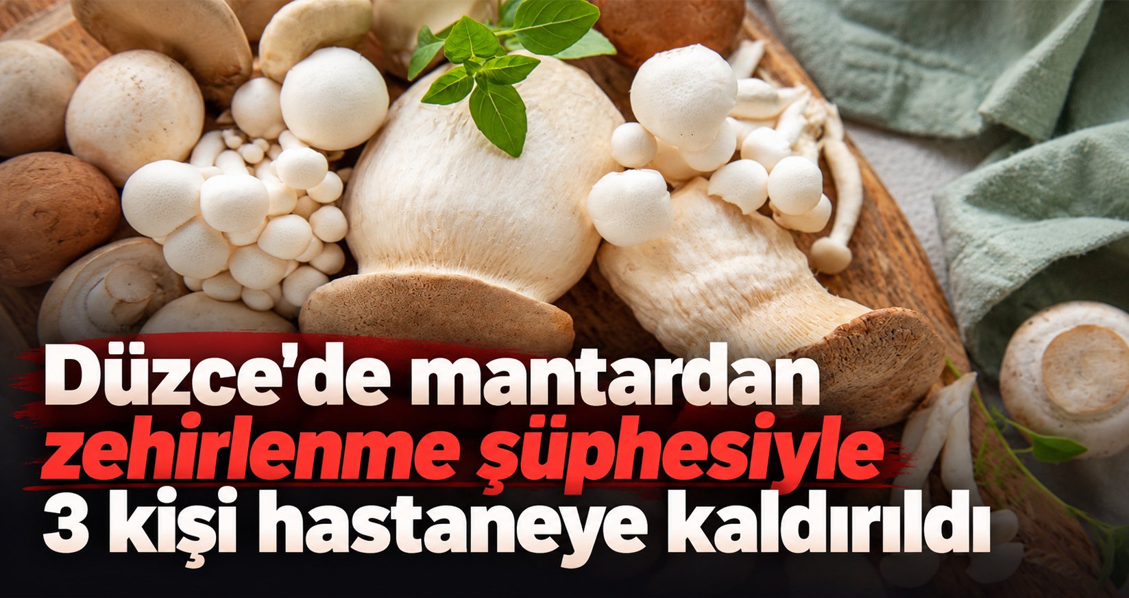 Düzce'de Mantardan Zehirlenme Şüphesiyle 3 Kişi Hastaneye Kaldırıldı