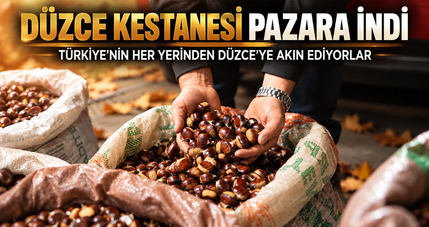 Düzce Kestanesi Pazara İndi